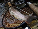 P6260008.JPG